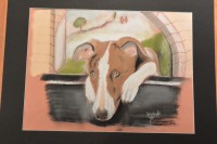 /album/galerie-photos/dsc-1949-copie-jpg/